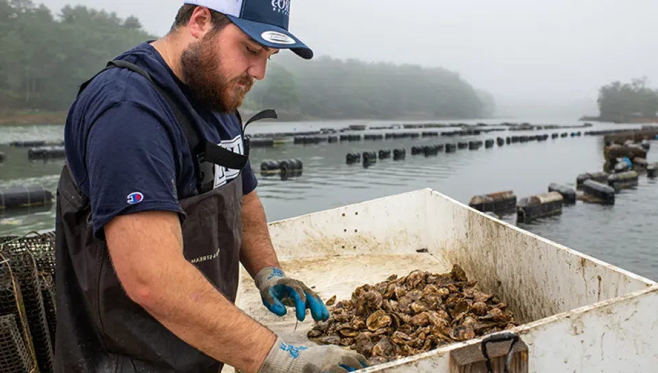 A student holding mussels